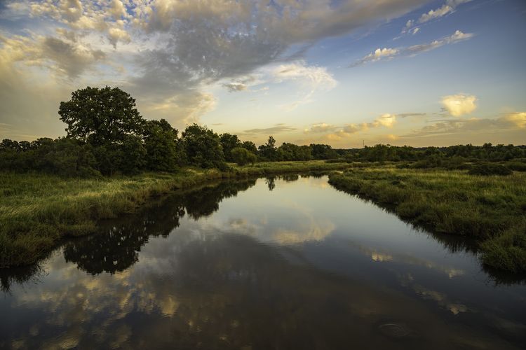 Belleville, WI Homes for Sale and Realtors